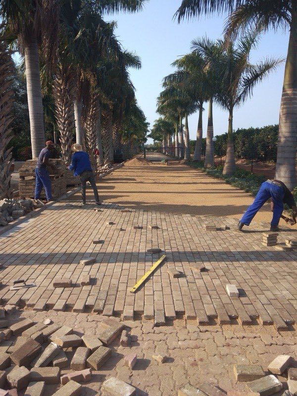 Herringbone paver driveway installed in Tzaneen