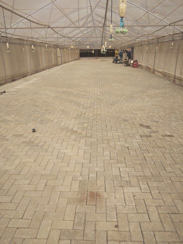 Completed herringbone paver floor in large greenhouse structure
